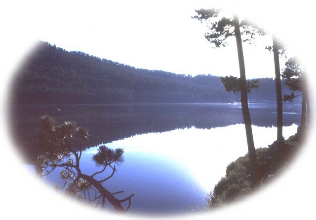 Reflections