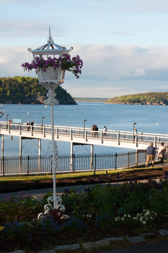 bar harbor