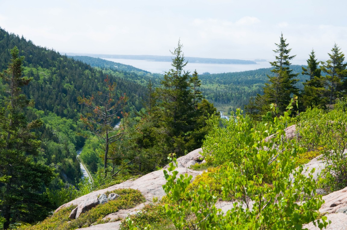 acadia natl park 6