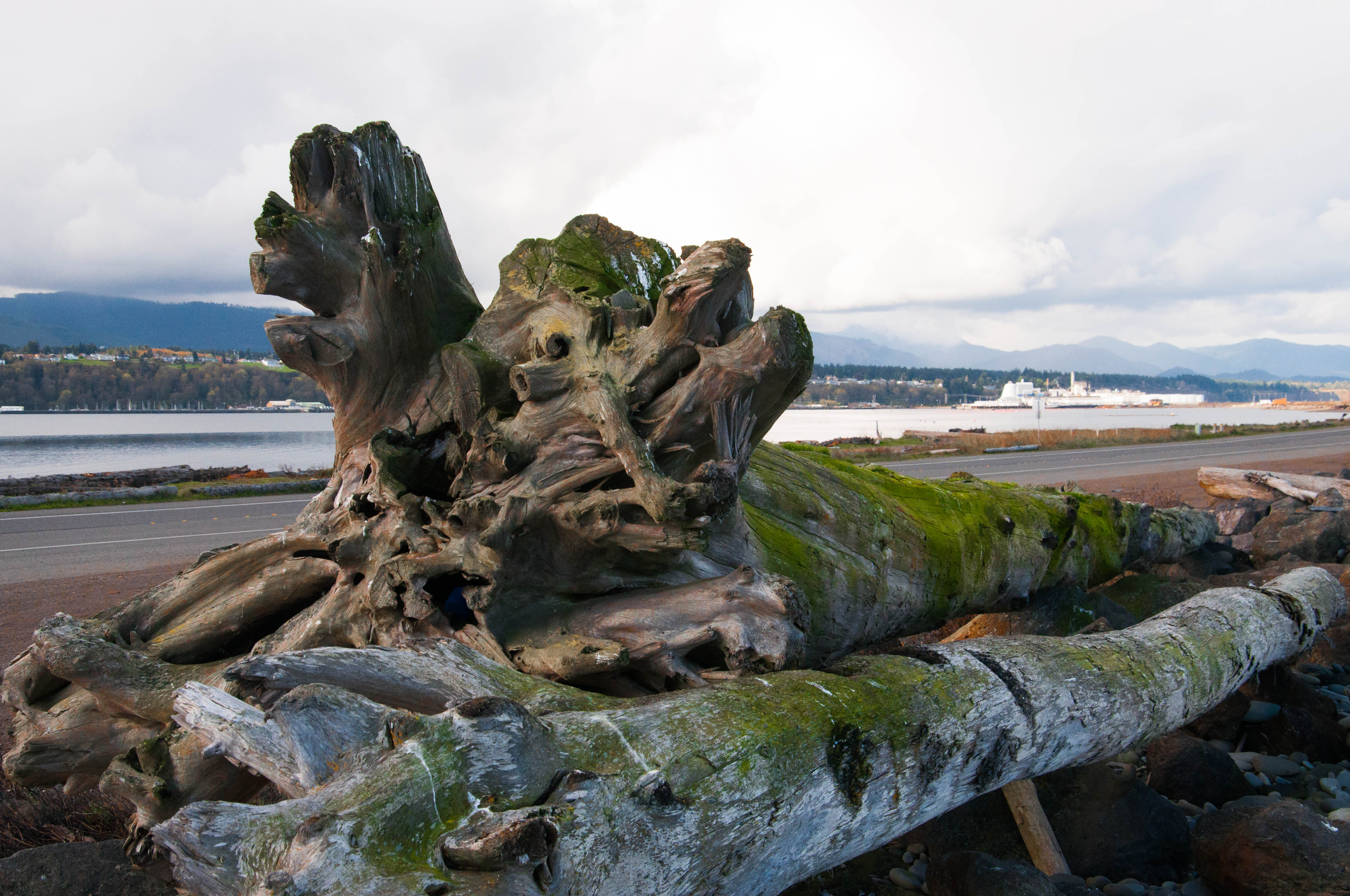 Stumped