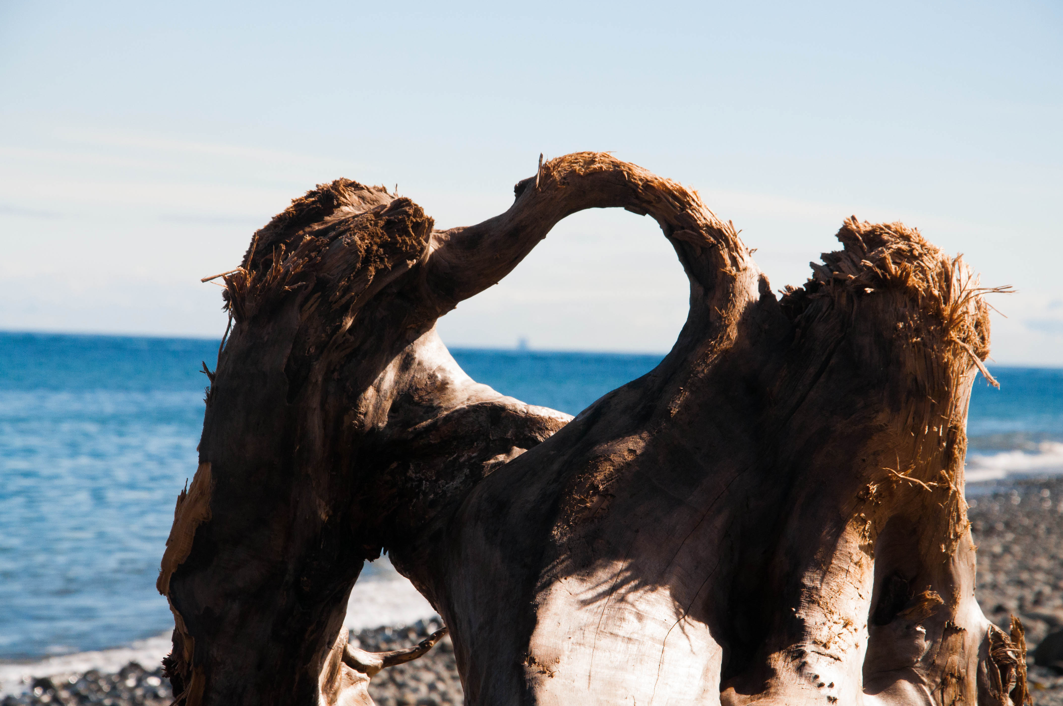 Driftwood