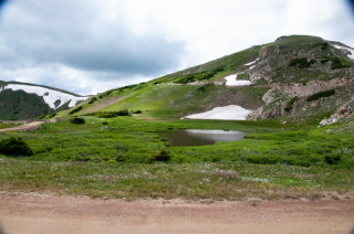 Above Tree Line