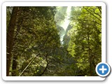 Yosemite 13