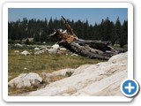 Yosemite 3